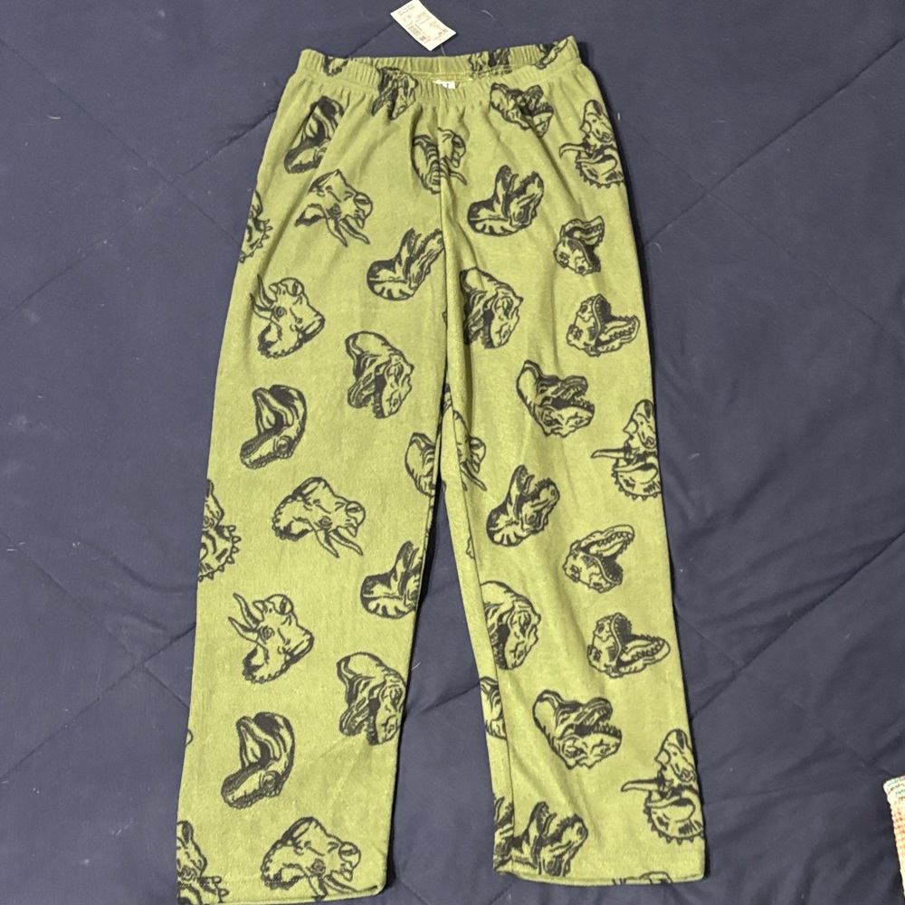 The Children's Place Green Dinosaur Print pajama pants